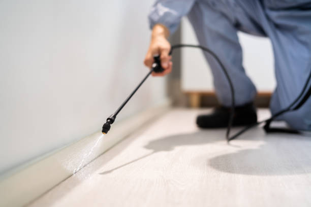 Licensed Fumigation Services service in Steubenville, OH - Nex Pest Control