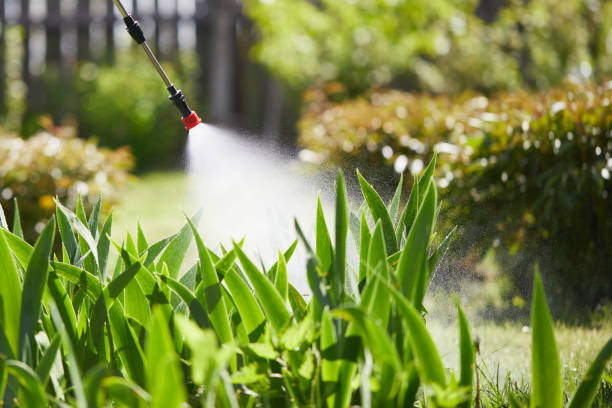 24/7 Emergency Fumigation Services experts in Steubenville, OH