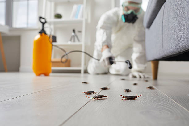 Trusted Termite Control service in Steubenville, OH - Nex Pest Control